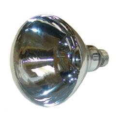 Franklin - 253-1121 - 250 Watt Clear Warmer Bulb image