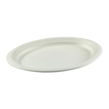 12519 - AmerCare - PL-16-2-NPFA - 12 1/2 in X 10 in Platter Product Image