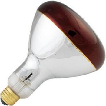 381133 - Norman Lamps - PFA-250R4010 - 250 Watt Red Shatterproof Heat Lamp Bulb Product Image