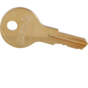 1341179 - Detex - ECL-405-15 - Emergency Exit Alarm Cover Cylinder Lock Keys Product Image