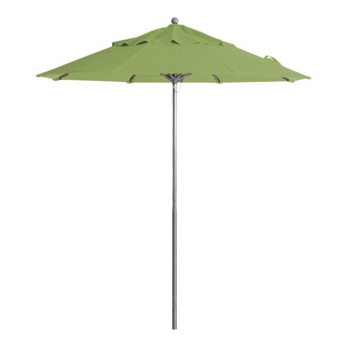 Restaurant trends and patio umbrella