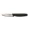 DEXP40003 - Dexter Russell - P40003 - 2 3/4 in Clip Point Paring Knife