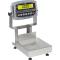 DETCA830190 - Detecto - CA8-30-190  - 30 lb x .002 lb Digital Receiving Scale