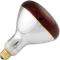 381133 - Norman Lamps - PFA-250R4010 - 250 Watt Red Shatterproof Heat Lamp Bulb